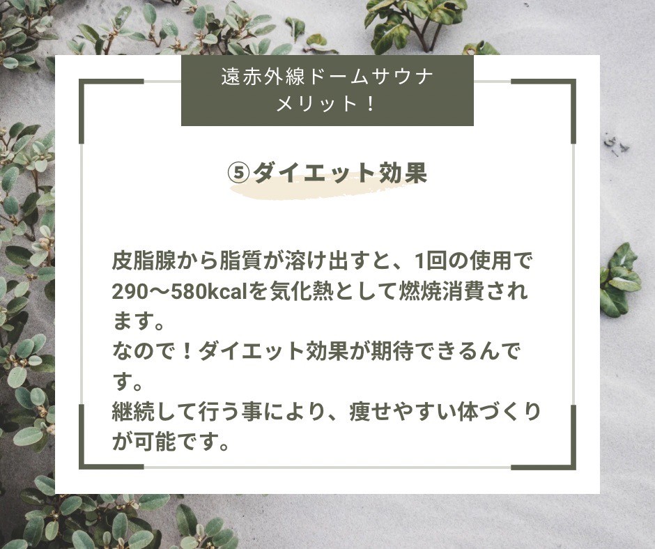 遠赤外線ドームサウナ
メニュー